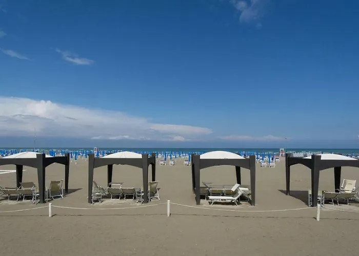 S3 * 이솔라 알바렐라