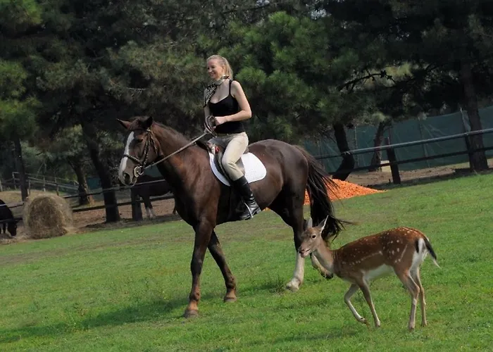 S3 * Albarella Island