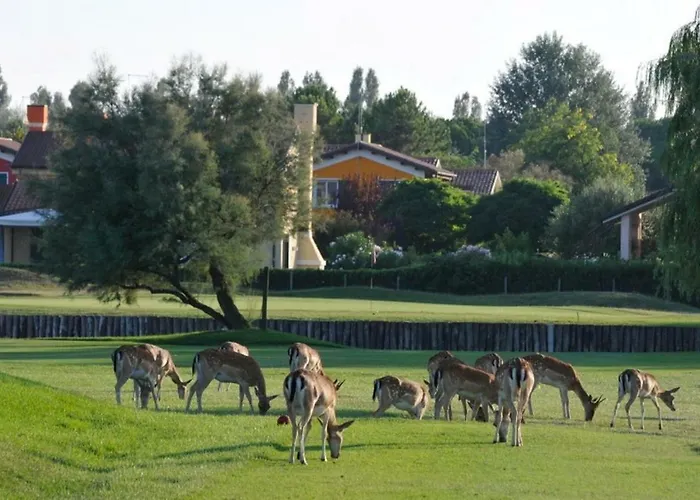 S3 * Albarella Island